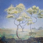 Landschappen door Ingrid Zonneveld